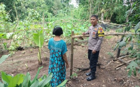 Kebun Warga Tawangrejo Ditata dengan Bambu, Lahan Pekarangan Dimanfaatkan untuk Tanaman Pangan