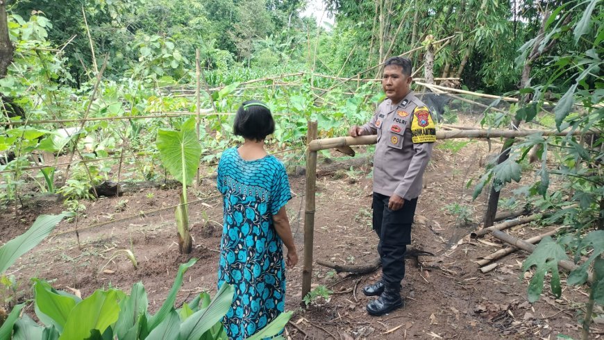 Kebun Warga Tawangrejo Ditata dengan Bambu, Lahan Pekarangan Dimanfaatkan untuk Tanaman Pangan